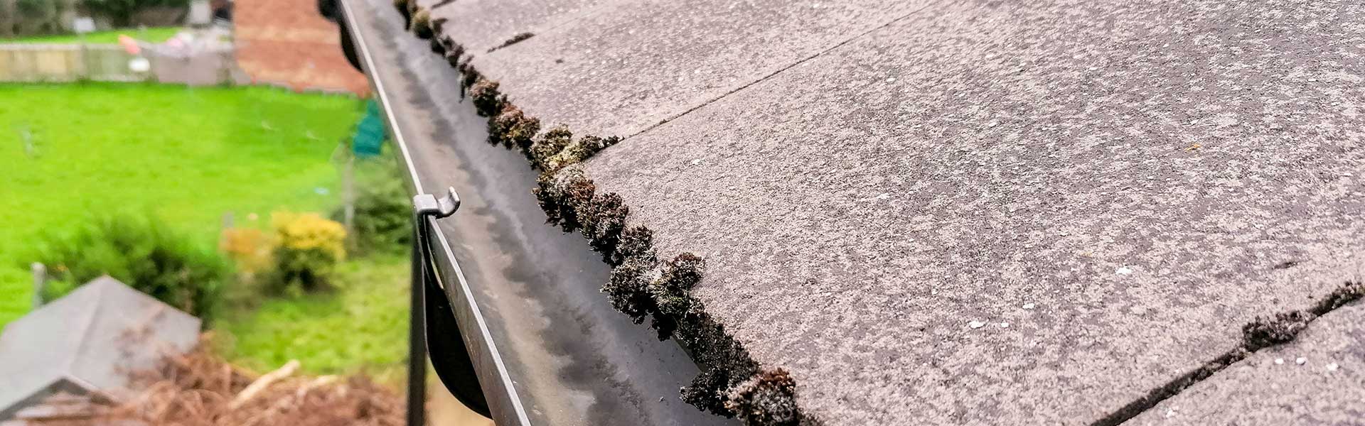 Commercial and Residential Pressure Washing
